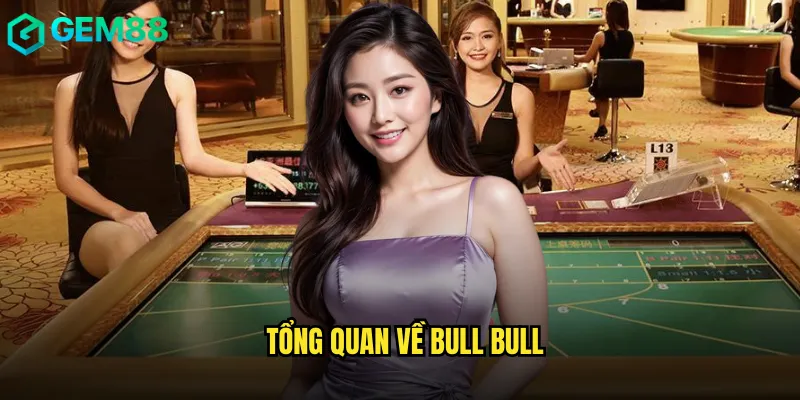 Tổng quan về Bull Bull
