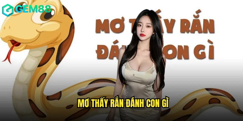 Mơ Thấy Rắn Đánh Con Gì