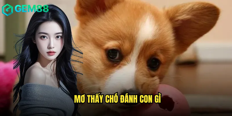 mơ thấy chó đánh con gì