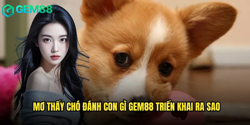 Giải Đáp Mơ Thấy Chó Đánh Con Gì Của Chuyên Gia Gem88 3 Mơ Thấy Chó Đánh Con Gì Gem88 triển khai ra sao