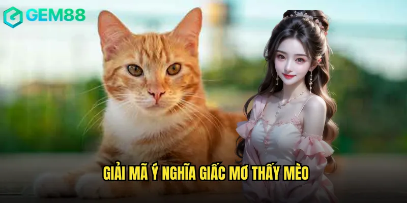 Hé Lộ Mơ Thấy Mèo Đánh Số Gì Của Cao Thủ Gem88 2 Giải mã ý nghĩa giấc mơ thấy mèo
