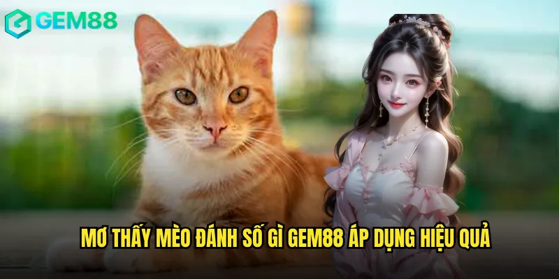 Hé Lộ Mơ Thấy Mèo Đánh Số Gì Của Cao Thủ Gem88 3 Mơ Thấy Mèo Đánh Số Gì Gem88 Áp Dụng Hiệu Quả